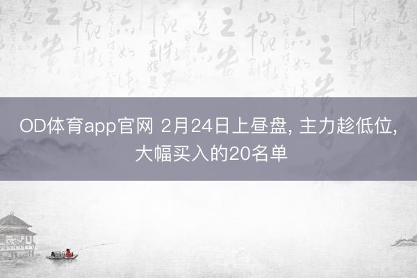 OD体育app官网 2月24日上昼盘， 主力趁低位， 大幅买入的20名单