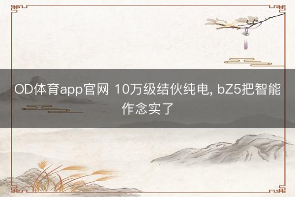 OD体育app官网 10万级结伙纯电， bZ5把智能作念实了