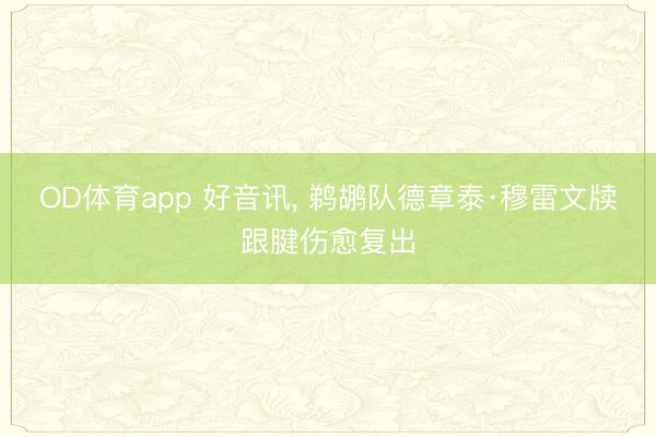 OD体育app 好音讯， 鹈鹕队德章泰·穆雷文牍跟腱伤愈复出