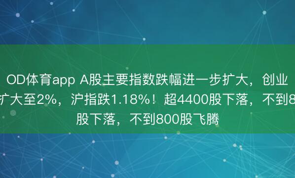 OD体育app A股主要指数跌幅进一步扩大，创业板指跌幅扩大至2%，沪指跌1.18%！超4400股下落，不到800股飞腾