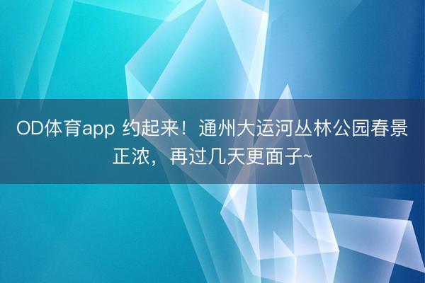 OD体育app 约起来！通州大运河丛林公园春景正浓，再过几天更面子~